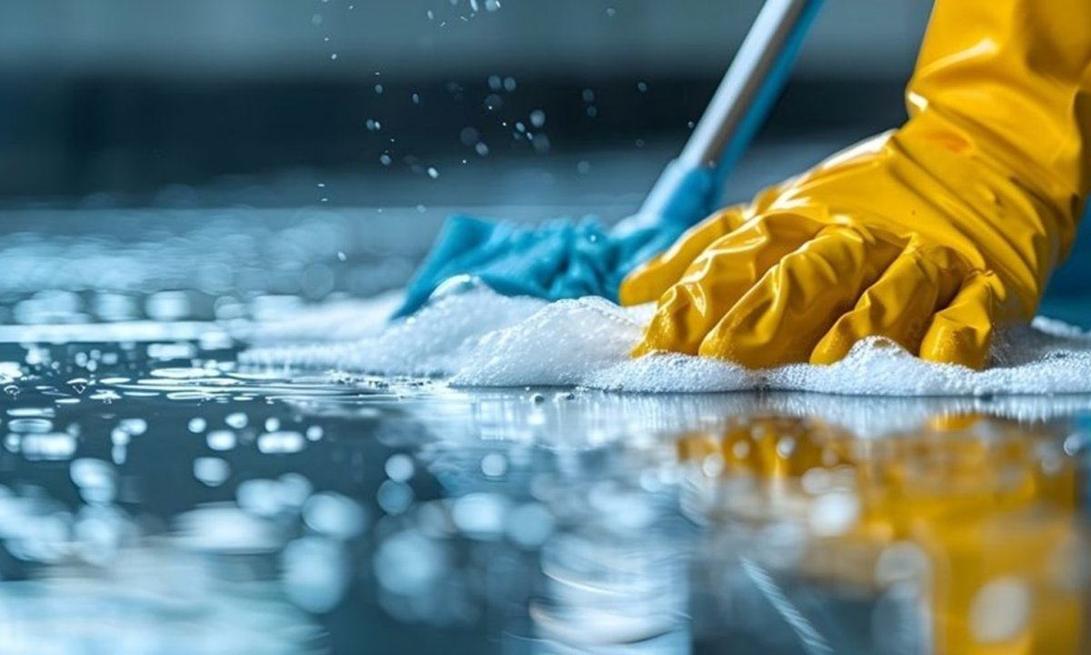 Professional Cleaning Services