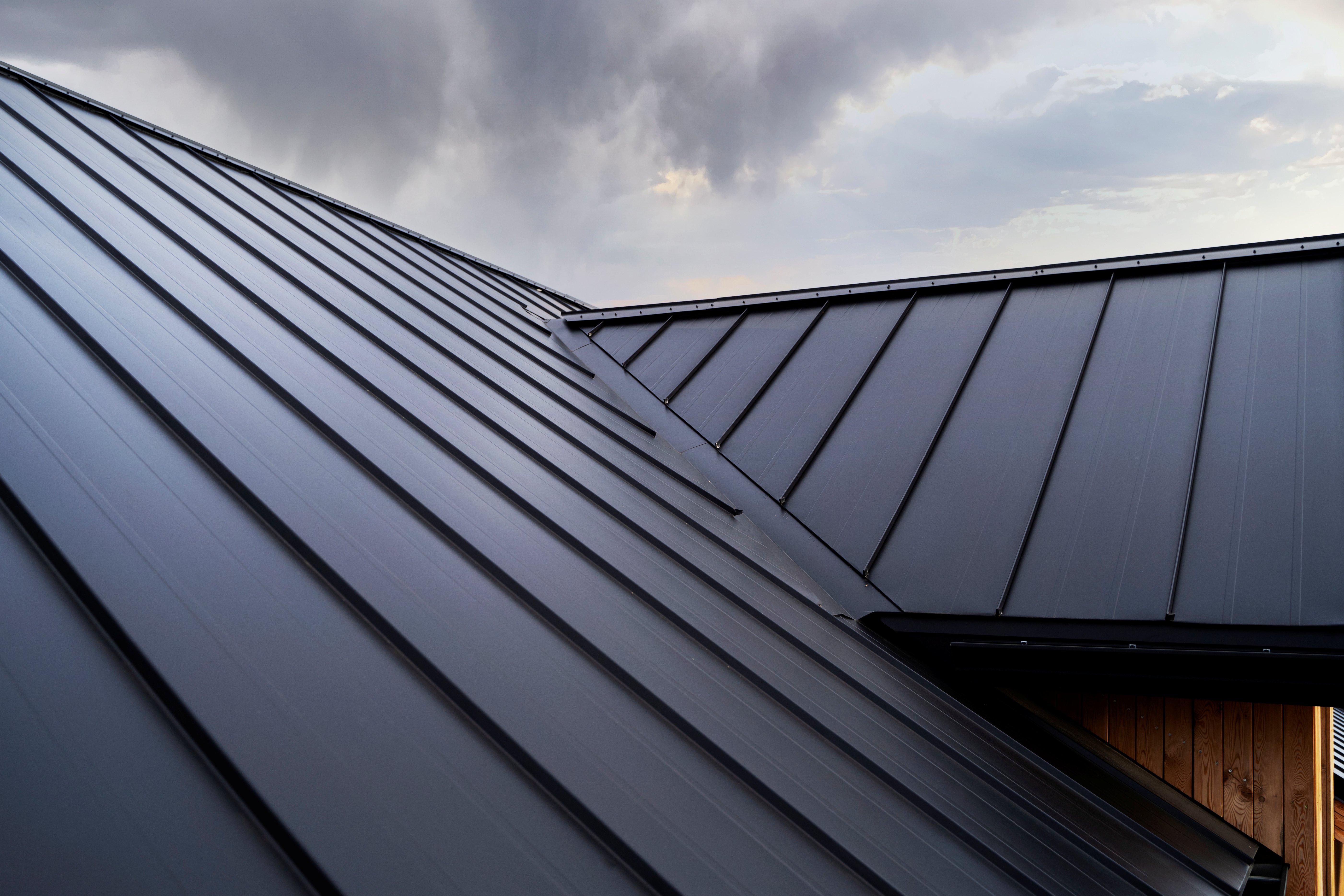 Professional Roofing Services